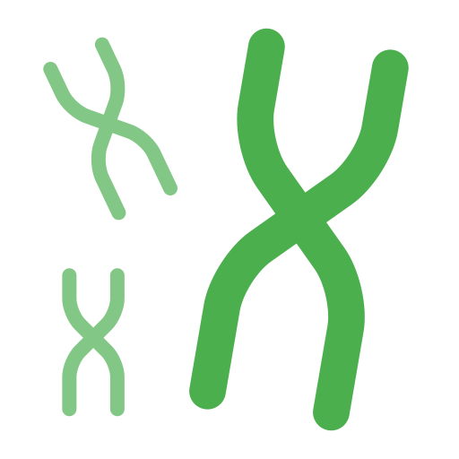 cromossoma Generic color fill Ícone