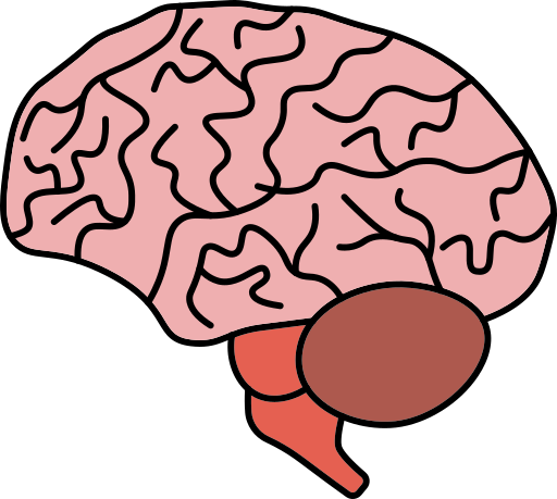 cervello Generic color lineal-color icona