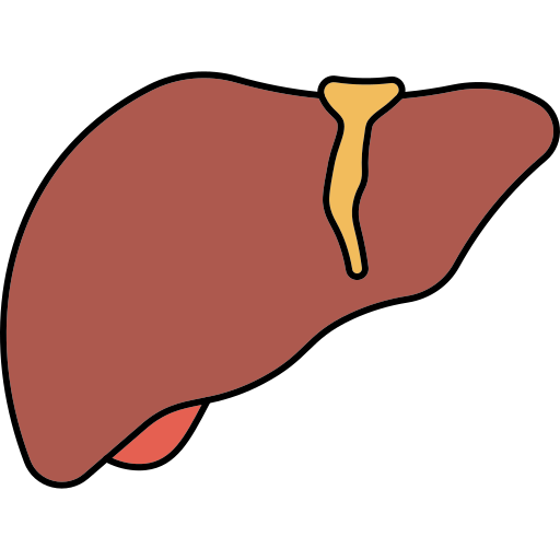 hígado Generic color lineal-color icono