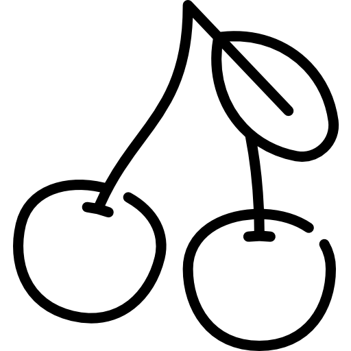 체리 Special Lineal icon