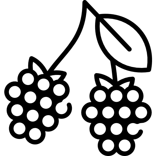 ラズベリー Special Lineal icon