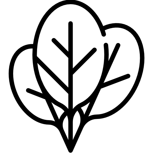 espinacas Special Lineal icono