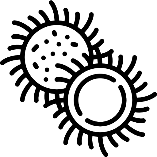 Рамбутан Special Lineal иконка