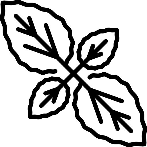 바질 Special Lineal icon