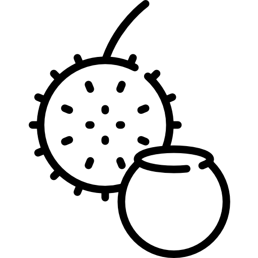 castaña Special Lineal icono