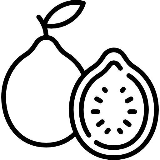 Гуава Special Lineal иконка