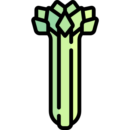 Celery Special Lineal color icon