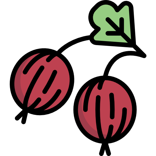 Gooseberry Special Lineal color icon