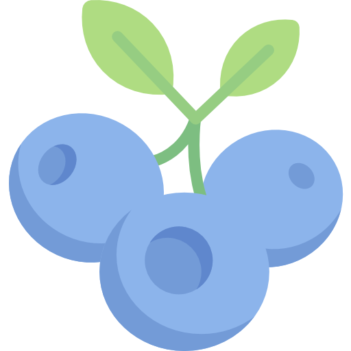 Blueberry Special Flat icon