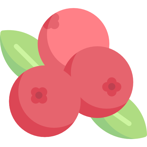 beeren Special Flat icon