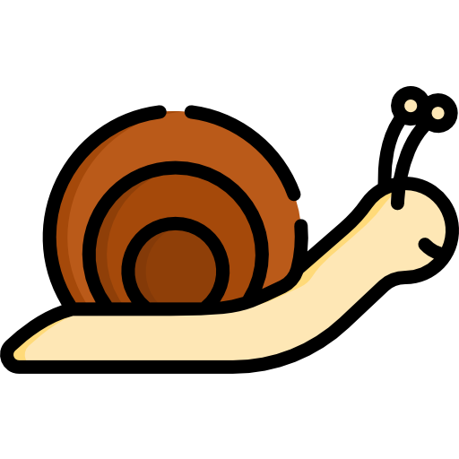 schnecke Special Lineal color icon