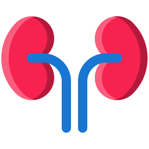 Kidneys Generic Others icon
