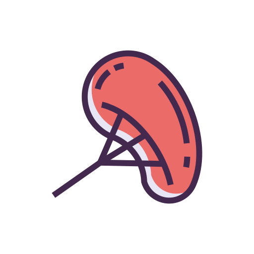 器官 Generic color lineal-color icon