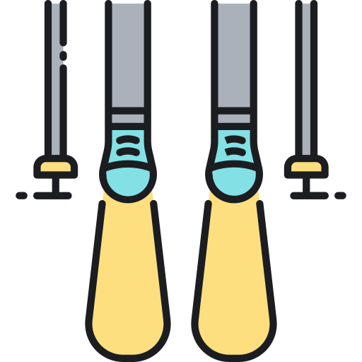 Skiing Generic color lineal-color icon