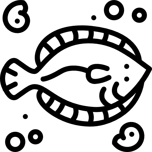platija Basic Miscellany Lineal icono