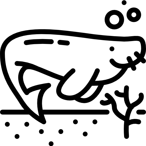 syrena morska Basic Miscellany Lineal ikona