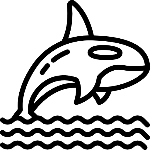 シャチ Basic Miscellany Lineal icon