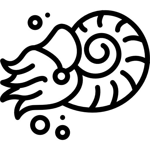 nautilus Basic Miscellany Lineal icona