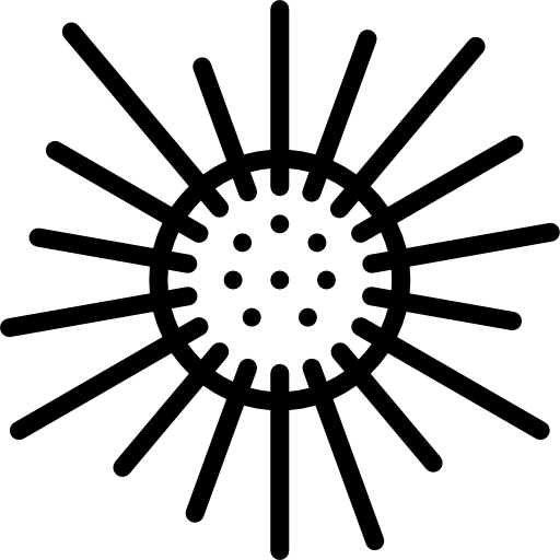 erizo de mar Basic Miscellany Lineal icono