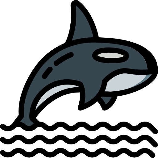 orca Basic Miscellany Lineal Color icon