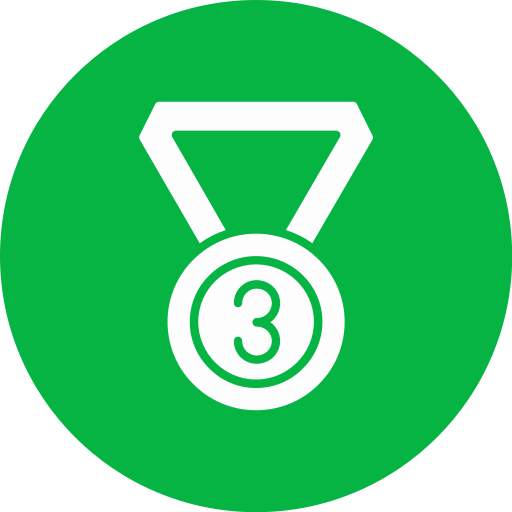 Bronze medal Generic color fill icon