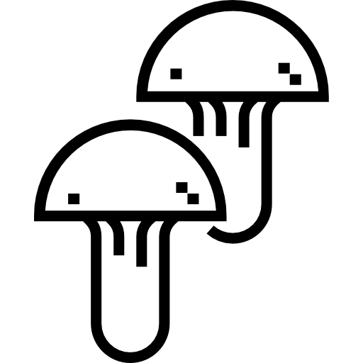 grzyb Detailed Straight Lineal ikona