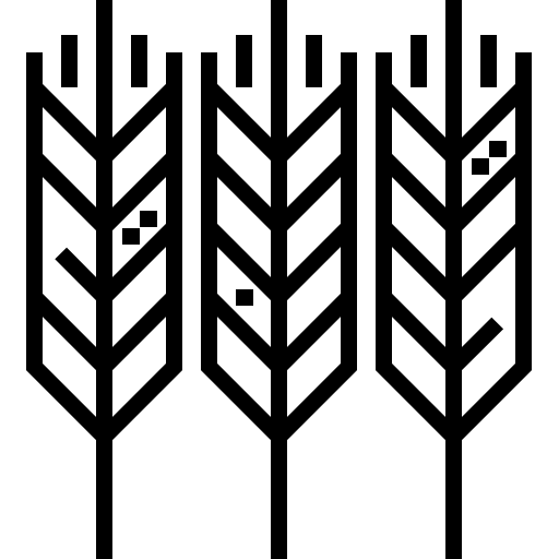 pszenica Detailed Straight Lineal ikona