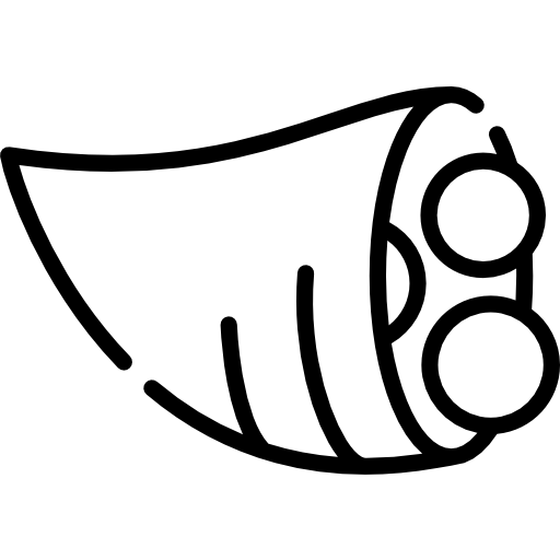 コーヌコピア Special Lineal icon