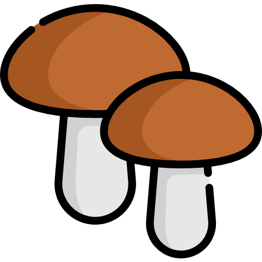 Mushroom Special Lineal color icon