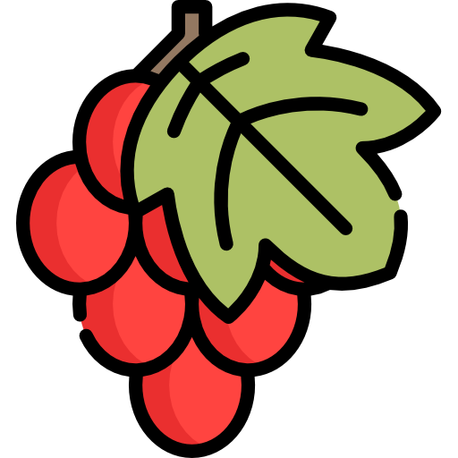 Grape Special Lineal color icon