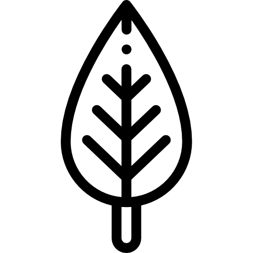 잎 Detailed Rounded Lineal icon