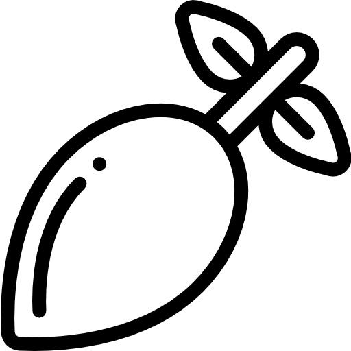 rzodkiewka Detailed Rounded Lineal ikona