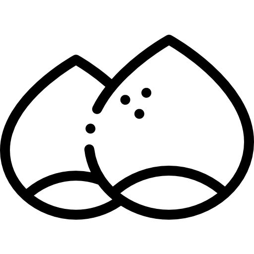 밤나무 Detailed Rounded Lineal icon
