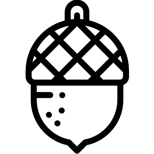 ドングリ Detailed Rounded Lineal icon