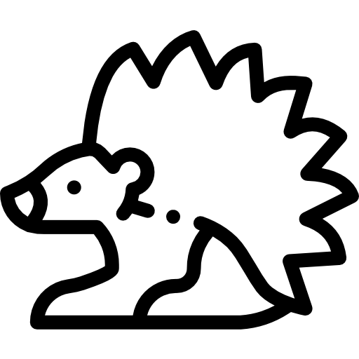 erizo Detailed Rounded Lineal icono