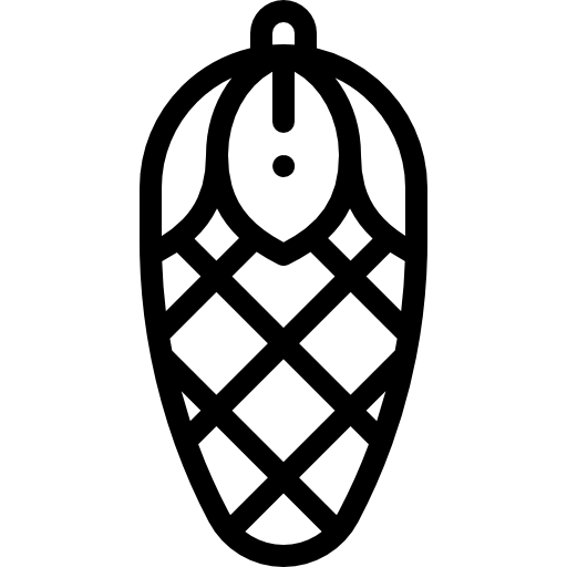 cono de pino Detailed Rounded Lineal icono