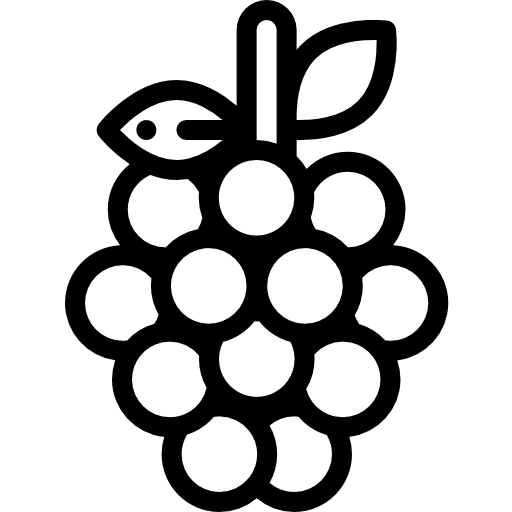 산딸기 Detailed Rounded Lineal icon