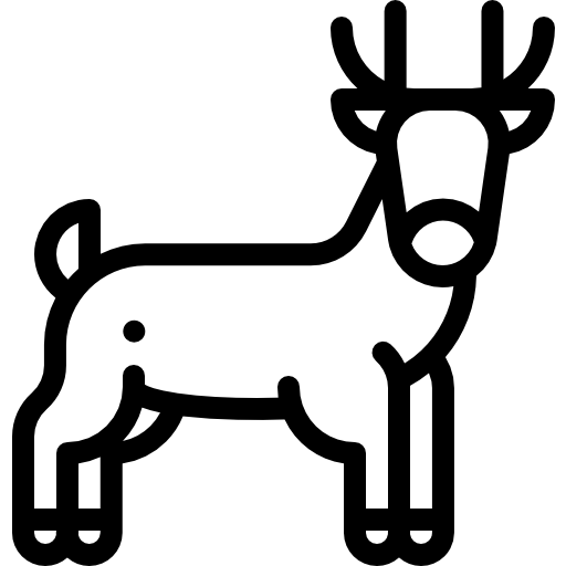 jeleń Detailed Rounded Lineal ikona