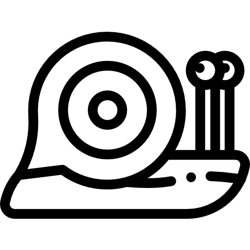 달팽이 Detailed Rounded Lineal icon