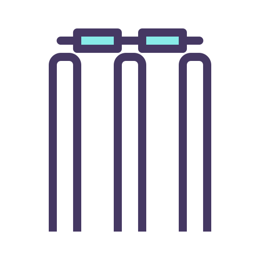 Cricket Generic color lineal-color icon