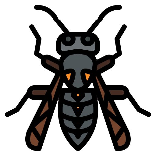 vespa Generic color lineal-color icona