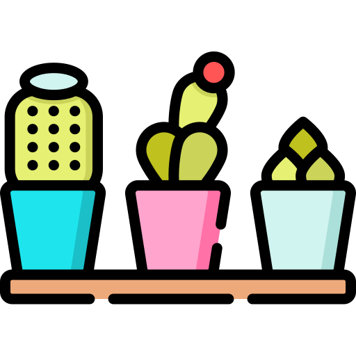 Cactus Special Lineal color icon