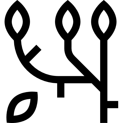 ブランチ Basic Straight Lineal icon
