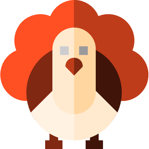 Turkey Basic Straight Flat icon