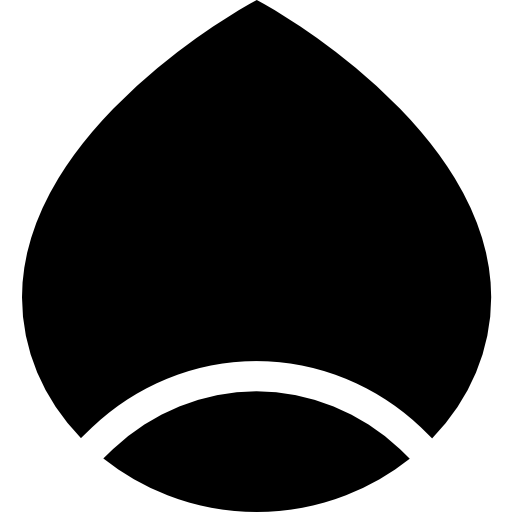 Chestnut Basic Straight Filled icon