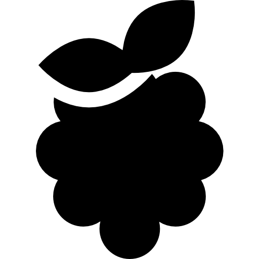 Raspberry Basic Straight Filled icon