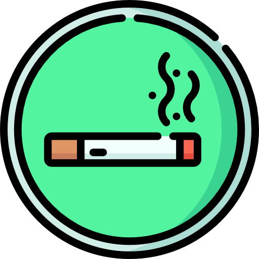 Área de fumadores Special Lineal color icono