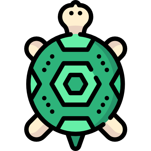 tartaruga Special Lineal color icona