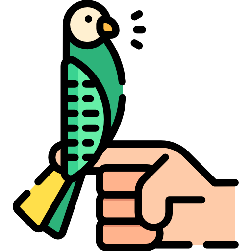 papuga długoogonowa Special Lineal color ikona