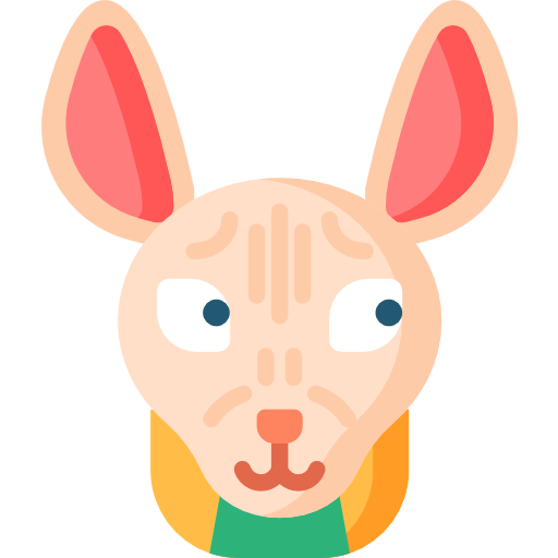 Sphynx cat Special Flat icon